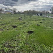 Посмотреть крупнее